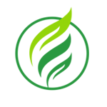 SOON Movement Global (KCCC USA) Website